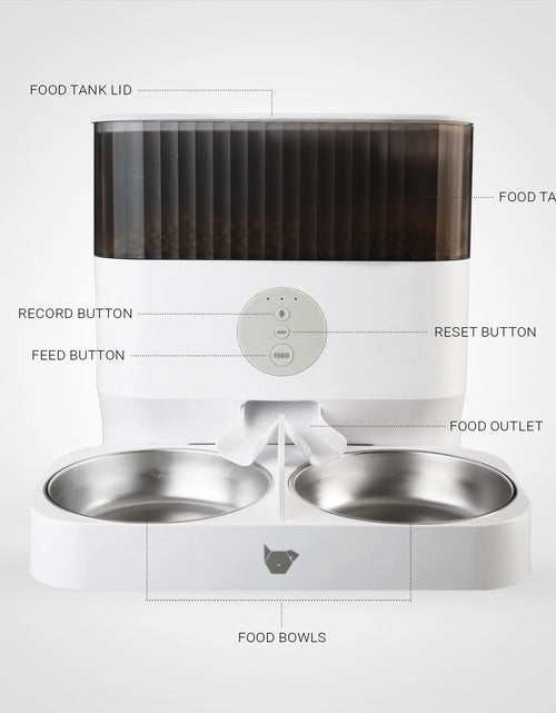 Load image into Gallery viewer, Purechew Double Automatic Pet Feeder, Two-Way Splitter and Double Bowls for Cats and Dogs
