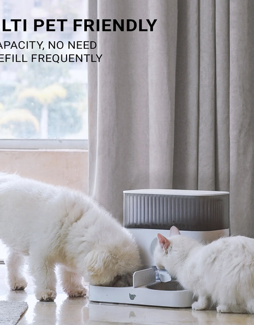 Load image into Gallery viewer, Purechew Double Automatic Pet Feeder, Two-Way Splitter and Double Bowls for Cats and Dogs
