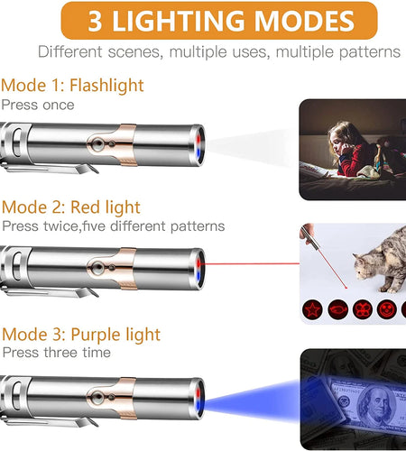Cat Laser Pointer Toy Rechargeable,Interactive Toy for Cat Kitten Dog with a Mouse Toy,Silver