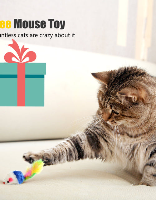 Load image into Gallery viewer, Cat Laser Pointer Toy Rechargeable,Interactive Toy for Cat Kitten Dog with a Mouse Toy,Silver

