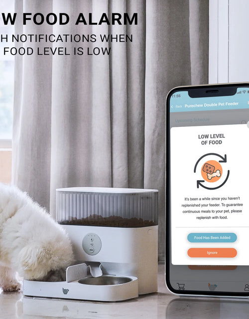 Load image into Gallery viewer, Purechew Double Automatic Pet Feeder, Two-Way Splitter and Double Bowls for Cats and Dogs

