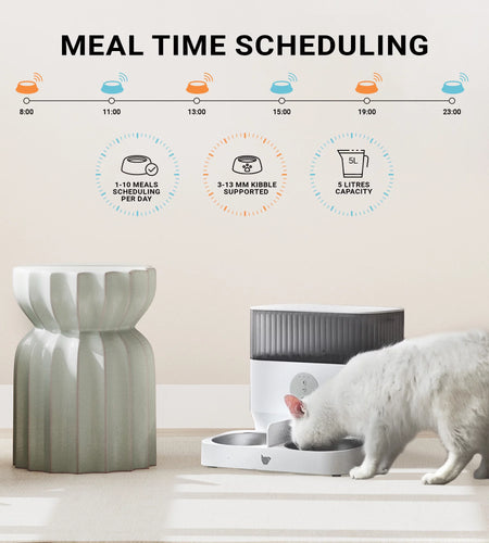 Purechew Double Automatic Pet Feeder, Two-Way Splitter and Double Bowls for Cats and Dogs