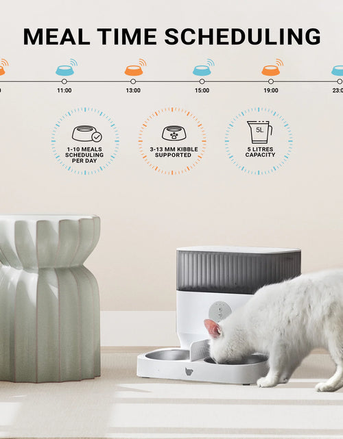 Load image into Gallery viewer, Purechew Double Automatic Pet Feeder, Two-Way Splitter and Double Bowls for Cats and Dogs
